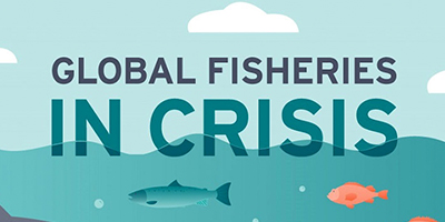 Global Fisheries Guide