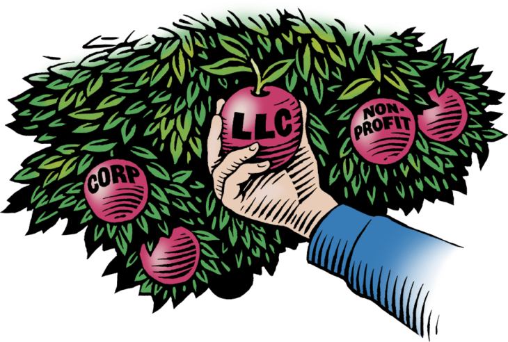 An illustration of a hand picking an apple from a tree that says LLC.