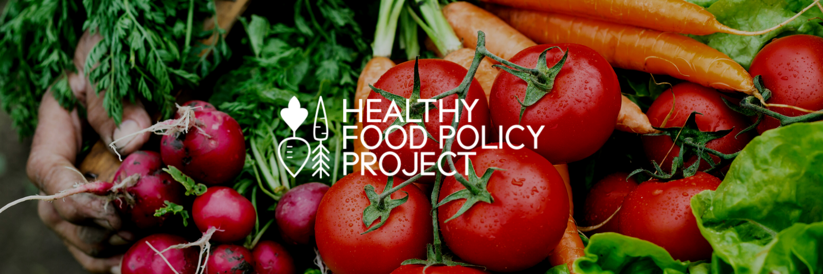Healthy Food Policy Project logo on top of an image of vegetables: radishes, tomatoes, and carrots.